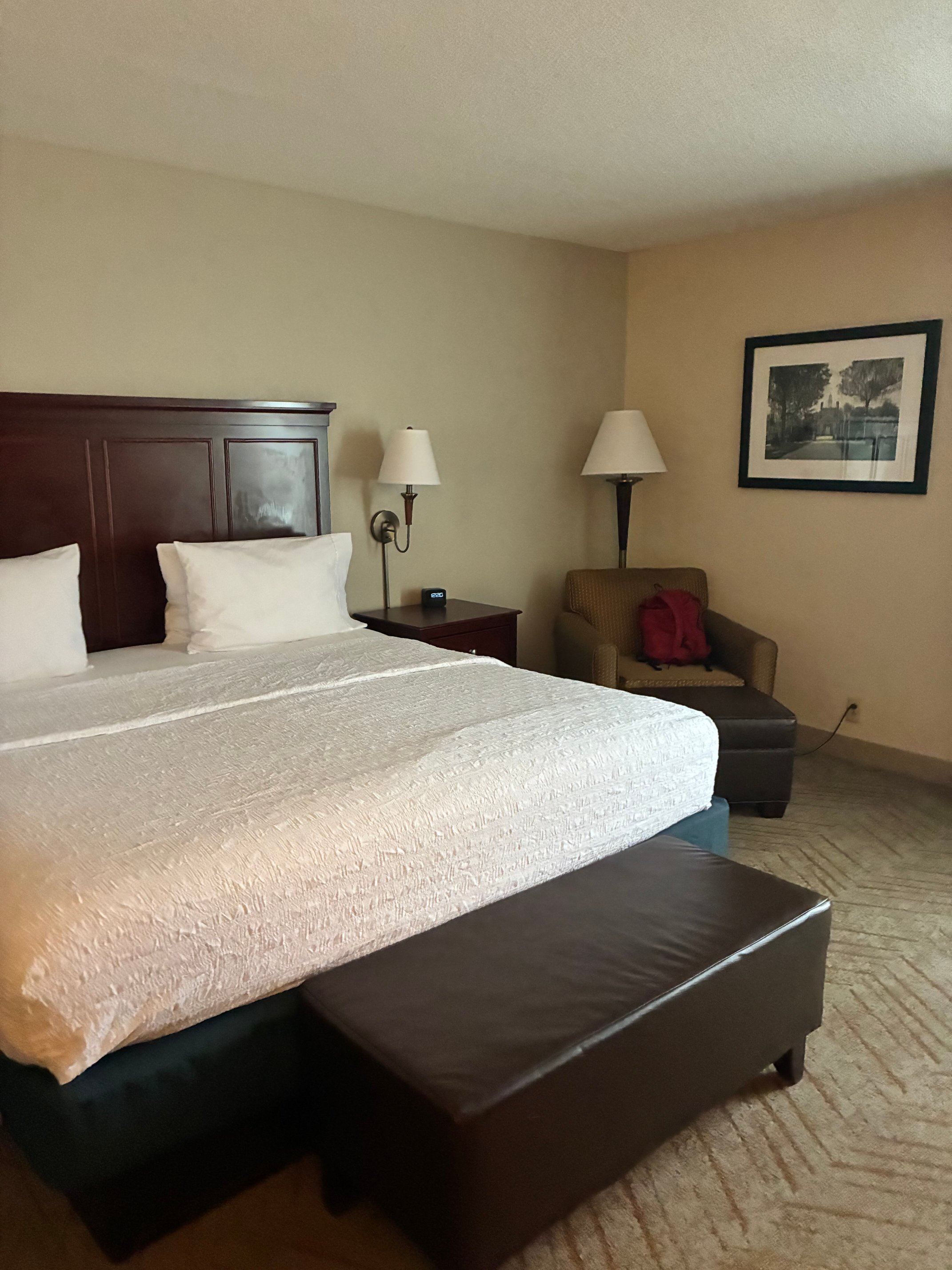 Hampton Inn & Suites Williamsburg-Richmond Road-客卧