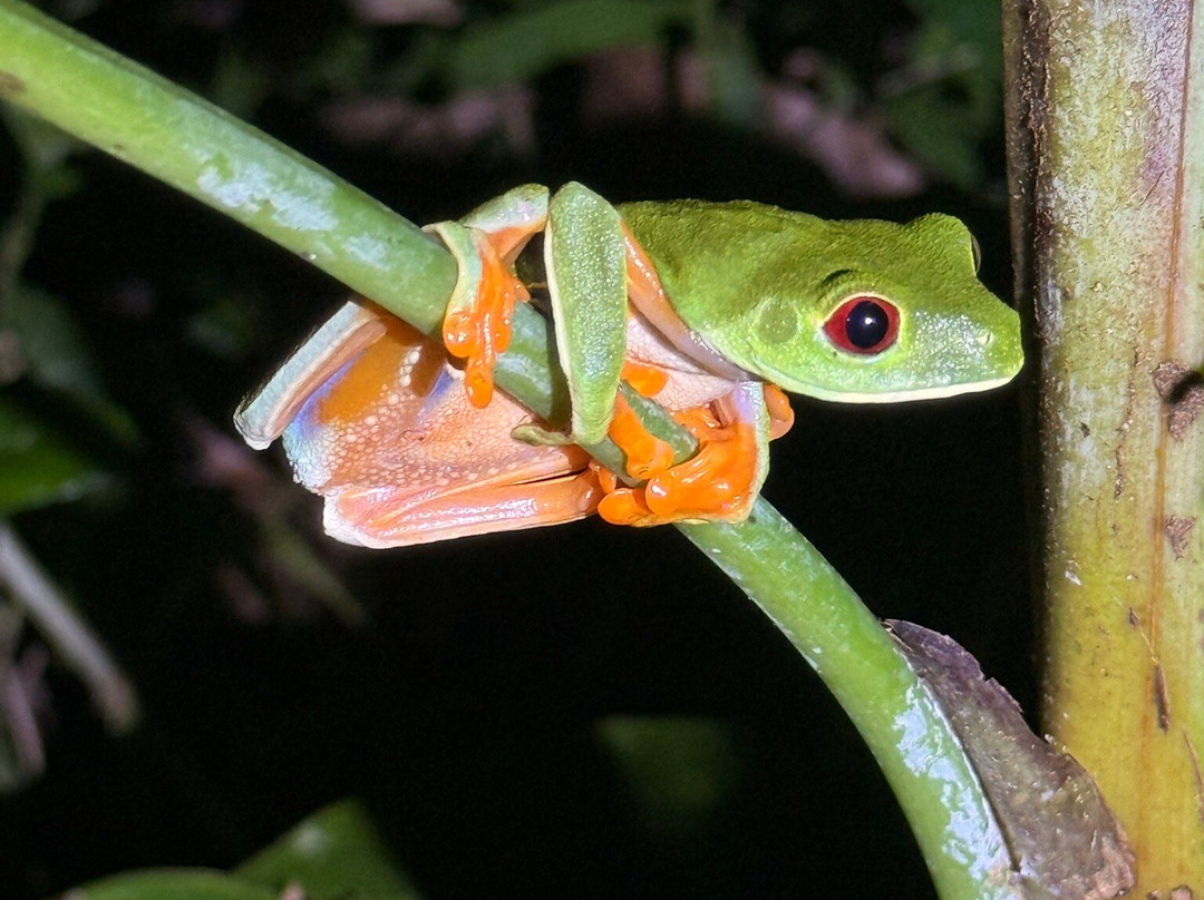 Tarantulas Way-卡维塔必去景点