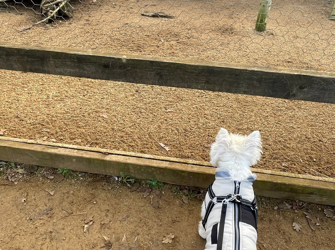 科茨沃尔德野生动物公园和花园-伯福德必去景点