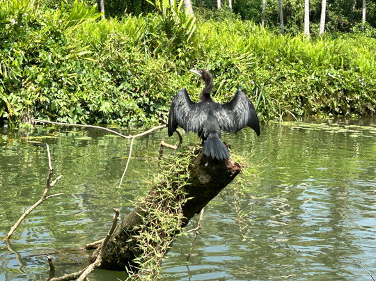 Affluent Travel & Leisure-新德里必去景点