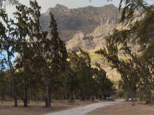 Joyride Mauritius-Black River必去景点
