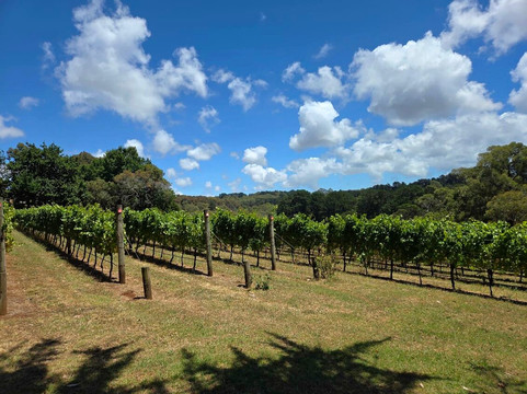 Mystery Adventures-墨尔本必去景点