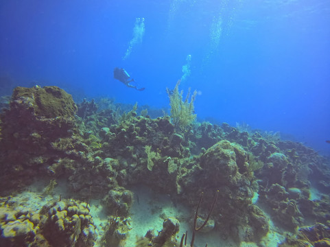 Indigo Divers-七哩滩必去景点