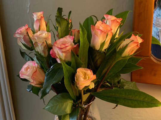 1898韦弗利酒店主图