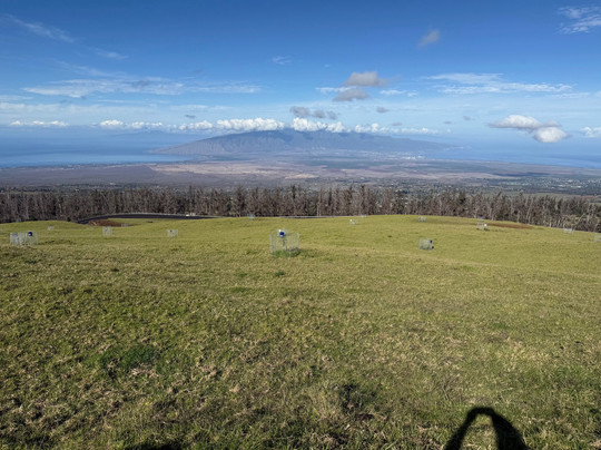 Haleakala Highway - Crater Road-库拉必去景点