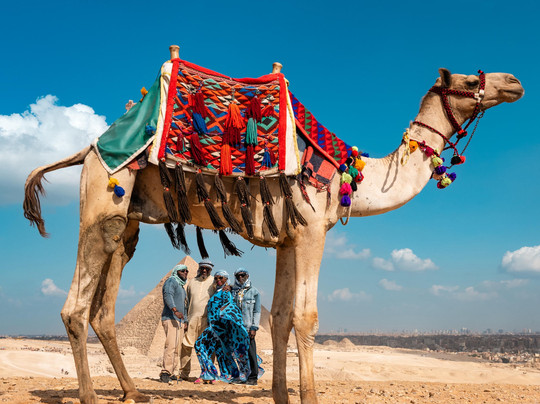 Egypt Tour Guide - Mina Samir-开罗必去景点