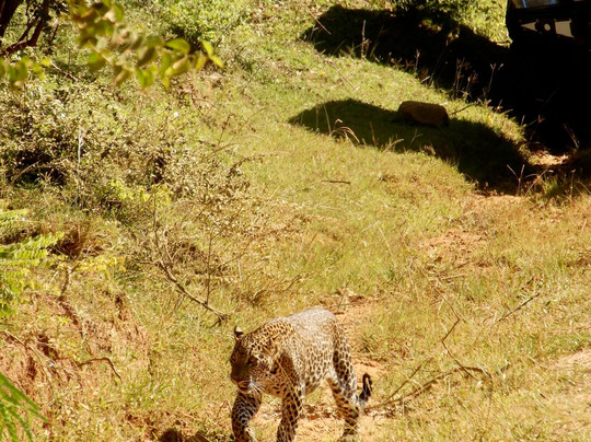 Kasun Yala Taxi Service-蒂瑟默哈拉默必去景点