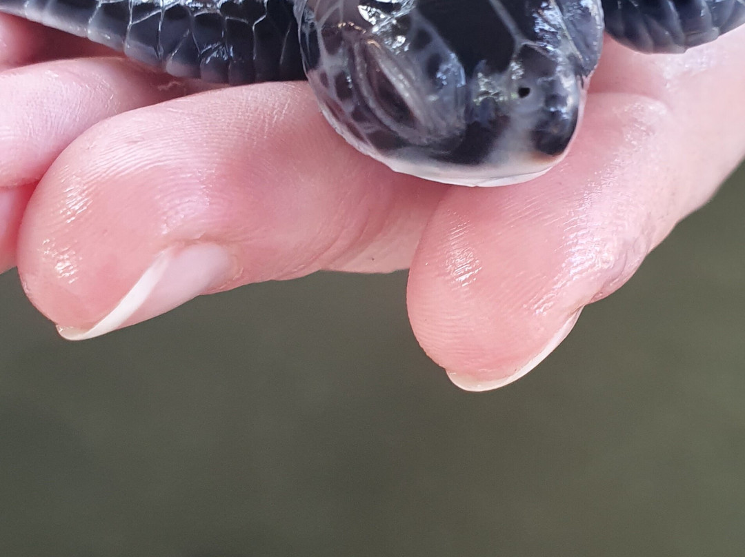 Pk Tours By Kuma-因都鲁瓦必去景点