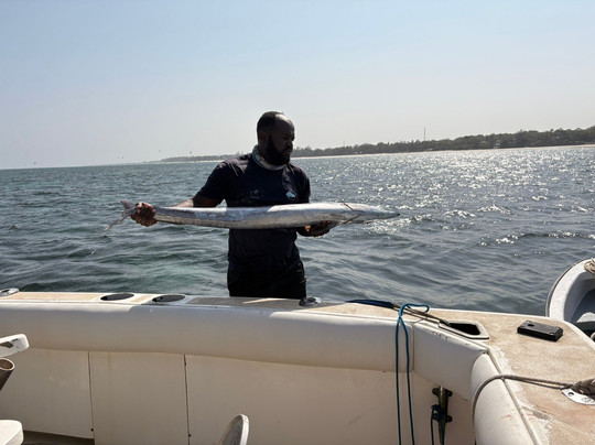 Shuwari Sportfishing-迪亚尼必去景点