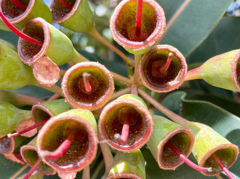 Rutter Park Memorial Reserve-Tooradin必去景点