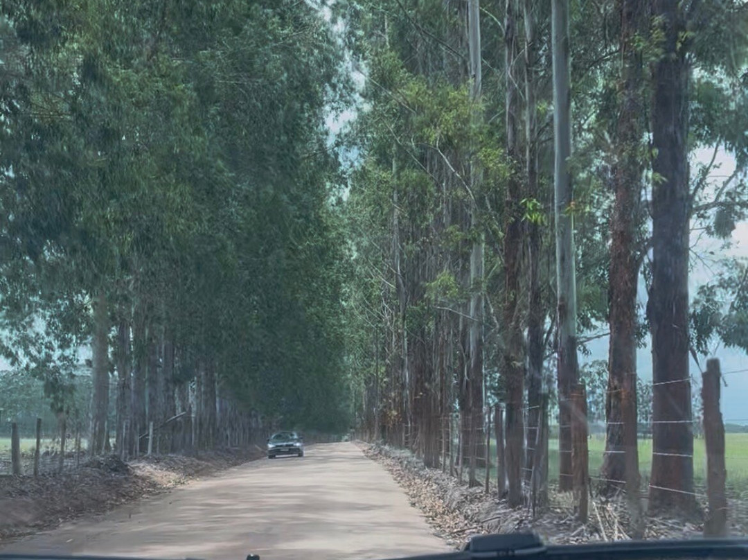 Porto Seguro Tour-Porto Seguro必去景点