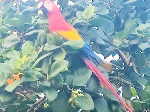 YourColombia-波哥大必去景点