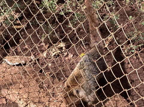 Congo Canopy Tours-Artola必去景点