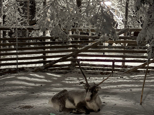 Lapland Winter Park Resort & Activities-罗瓦涅米必去景点