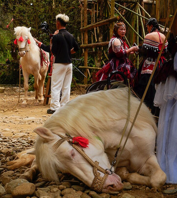 Cat Cat village-沙巴必去景点