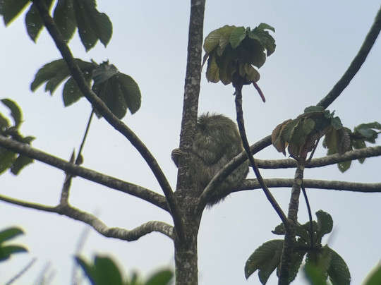 NexusTours-圣何塞必去景点