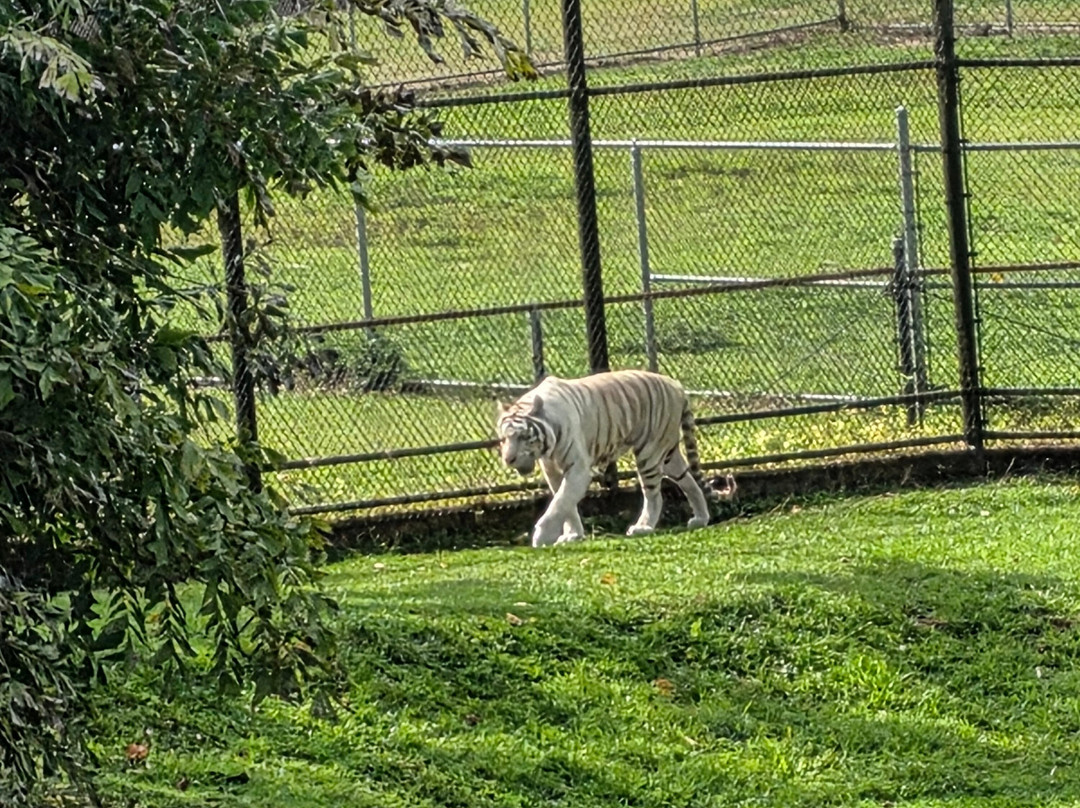 帕奈瓦热带雨林动物园-希洛必去景点