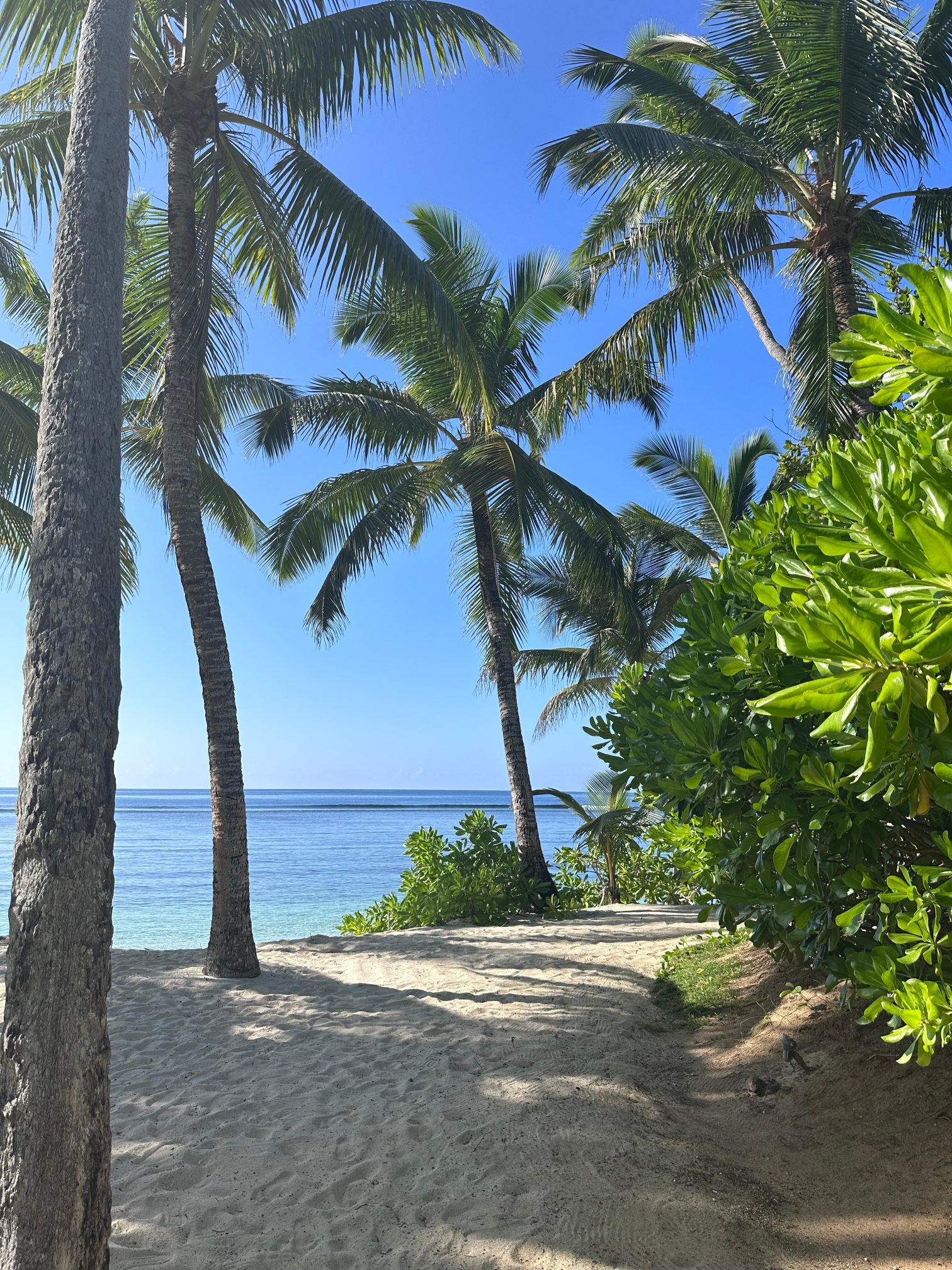 塞舌尔凯宾斯基度假酒店-泳池