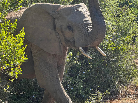 Take 2 Tours - Private Day Tours-开普敦中心区必去景点