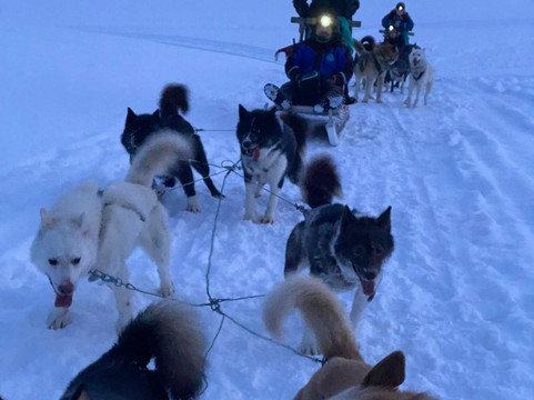 Green Dog Svalbard-朗伊尔城必去景点