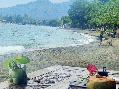 Menjangan Bali Driver Guide-佩母德兰必去景点