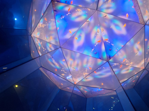 Uws Aquarium Ga Kyo-Daiba必去景点