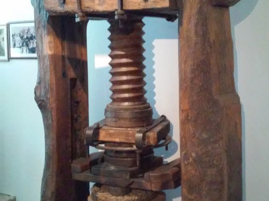 Museo Dell'olio D'oliva-Cisano必去景点