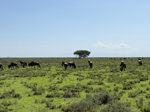 EverseenAfrica-霍德斯普鲁特必去景点