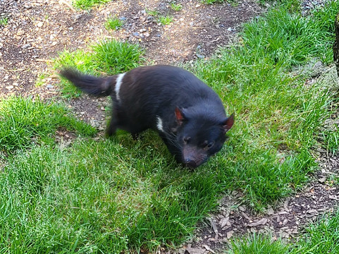 Inala Nature Tours-布鲁尼岛必去景点