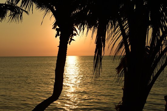 罗威那拜阁斯宫酒店主图