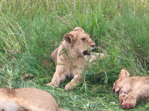 Tansania Reiseabenteuer SDL GmbH-柏林必去景点