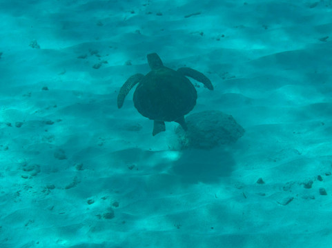 1000 Steps-博奈尔岛必去景点