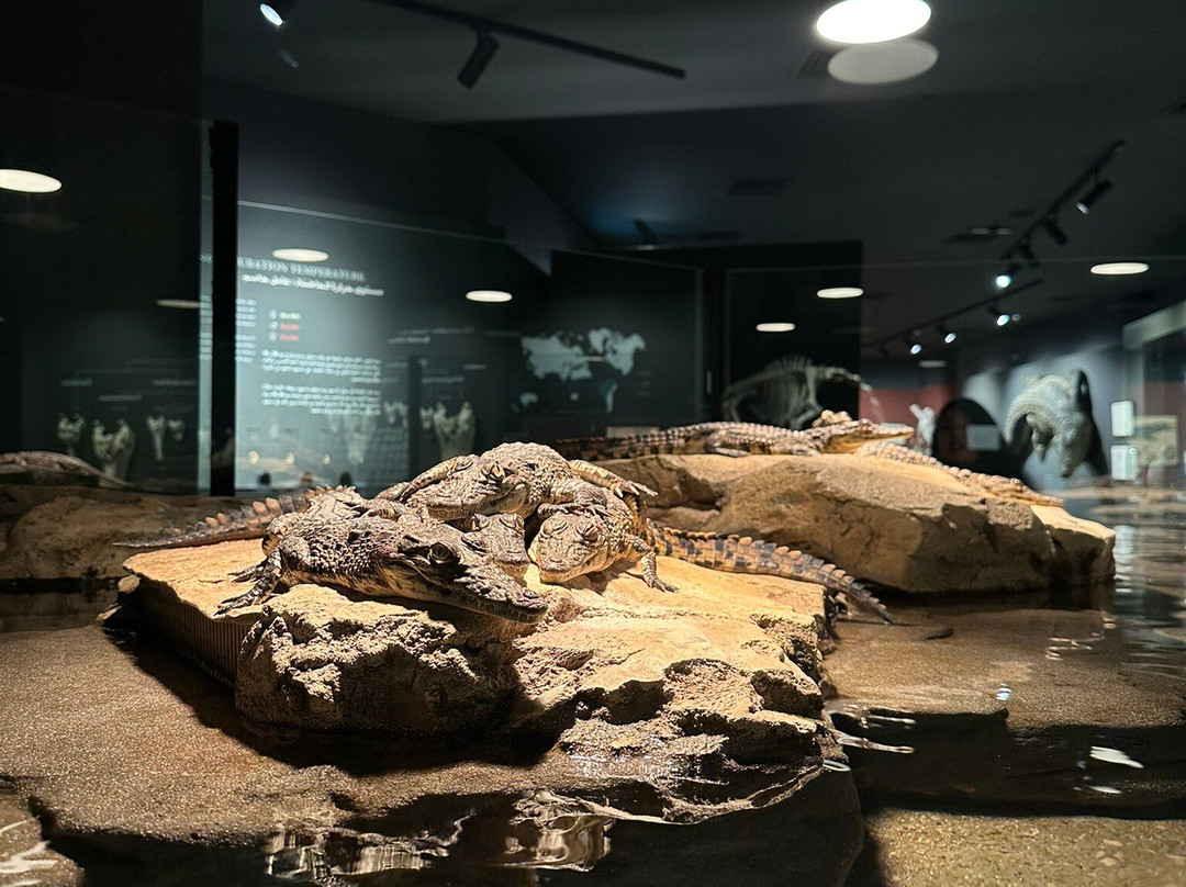 Dubai Crocodile Park-迪拜必去景点