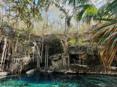 Diving Yucatan-梅里达必去景点