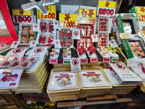 Tsukiji Fish Market-Tsukiji必去景点