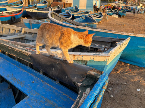 Bluehorizon Surfcamp Morocco-Tamraght必去景点