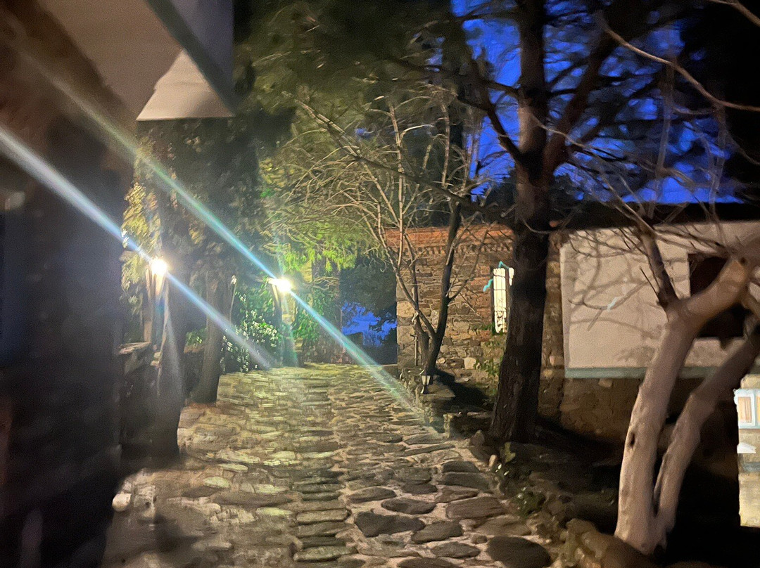 尼斯安尼安酒店主图