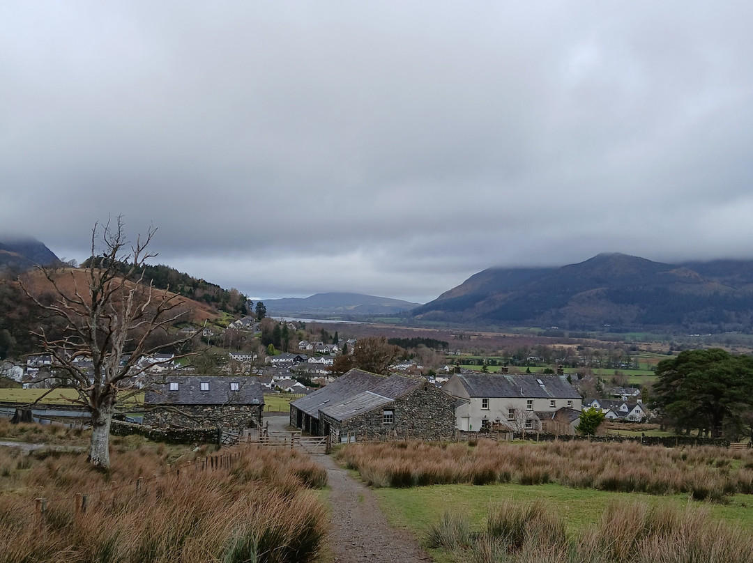 如丁斯中央乡村酒店主图