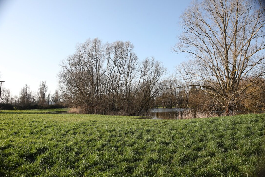 Le Lac de Crissey-Crissey必去景点