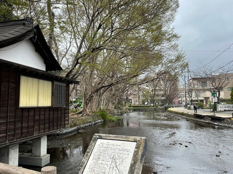 三嶋大社-三岛市必去景点