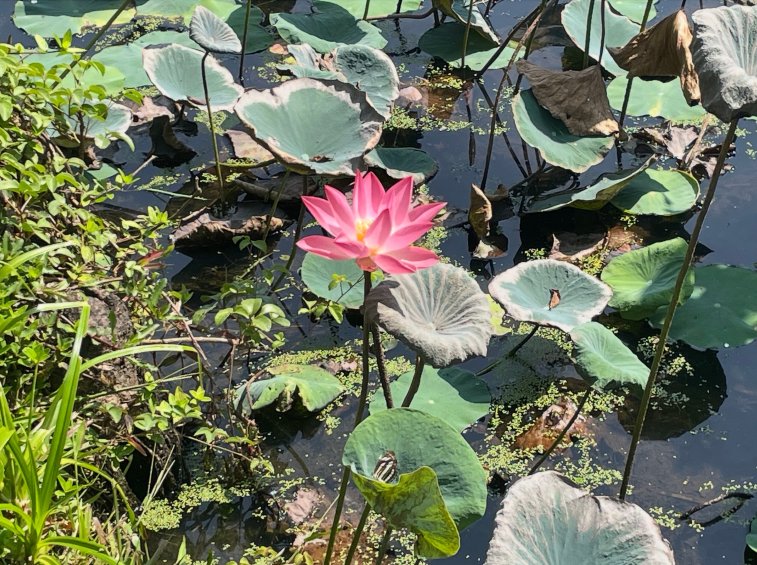 克拉拉塔吉库玛拉孔度假村及水疗中心-浴室