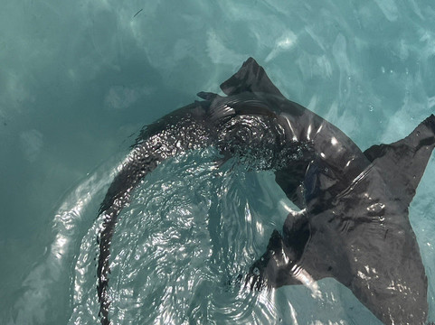 Aquaquest Escapes-George Town必去景点