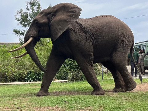 Queen Elizabeth National Park-Kasese必去景点