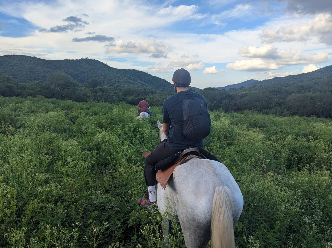 Cabalgatas Gauchas-萨尔塔必去景点