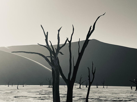 Deadvlei-苏丝斯黎必去景点