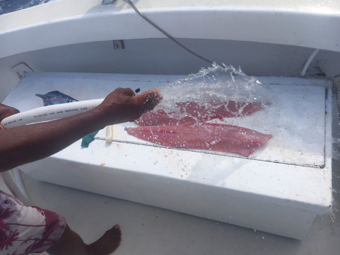 High Seas Barbados-布里奇顿必去景点