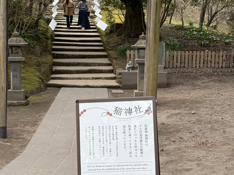 仙岩园-鹿儿岛市必去景点