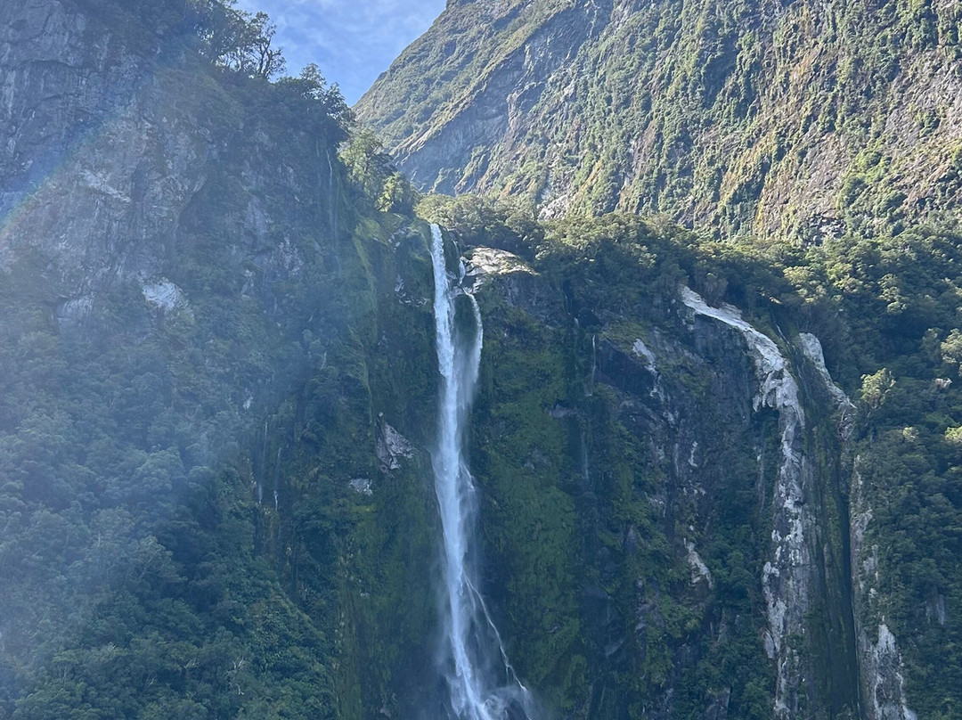 Wild Kiwi Tours-奥克兰中心地区必去景点