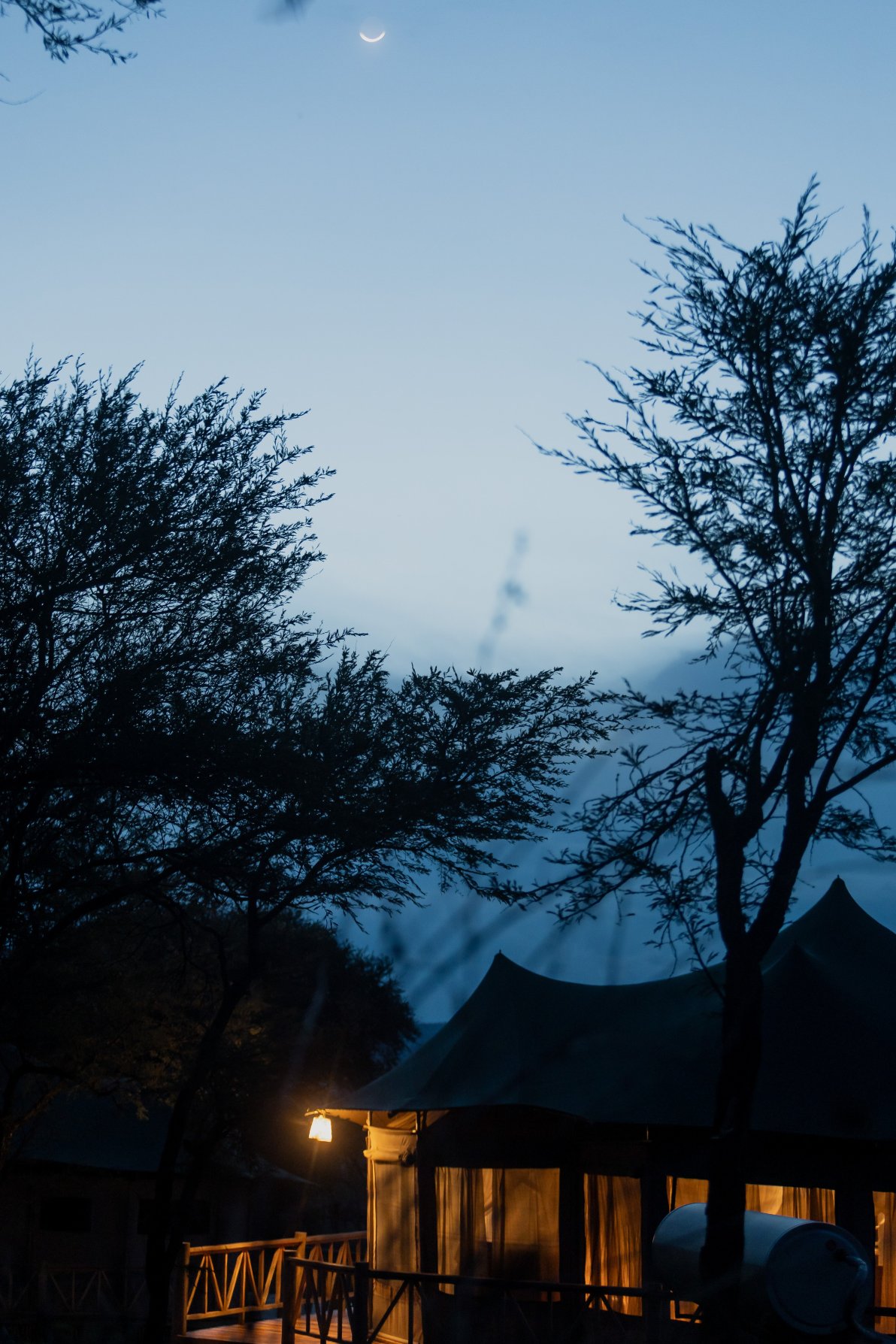 Enkirari  Wilderness Camp-客卧