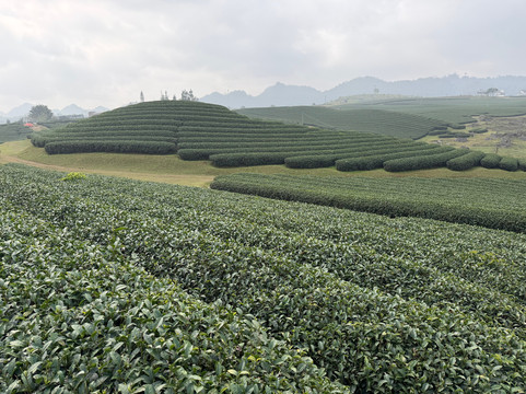Andy Tourist-河内必去景点
